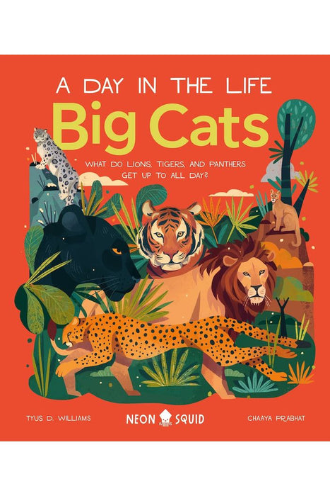 Big Cats (A Day in the Life)