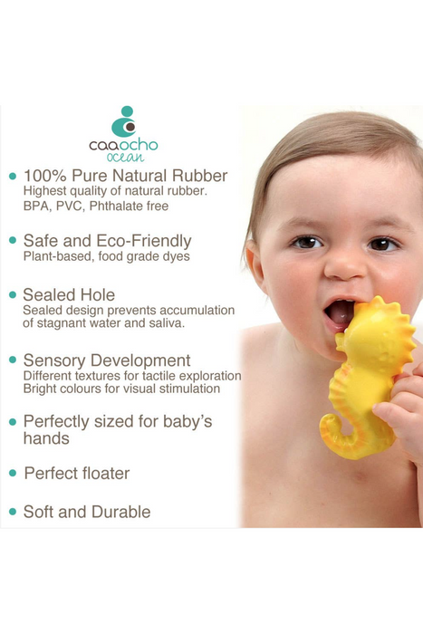 Nalu Seahorse Bath Toy - Bird & Bean