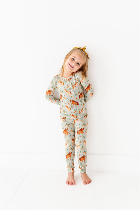 Bamboo Pajama Set - Horsin' Around Print - Bird and Bean Kids