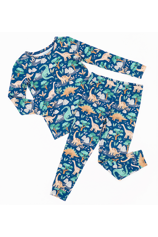 Children's bamboo pajama set with dinosaur pattern on a blue background - Bird and Bean 
