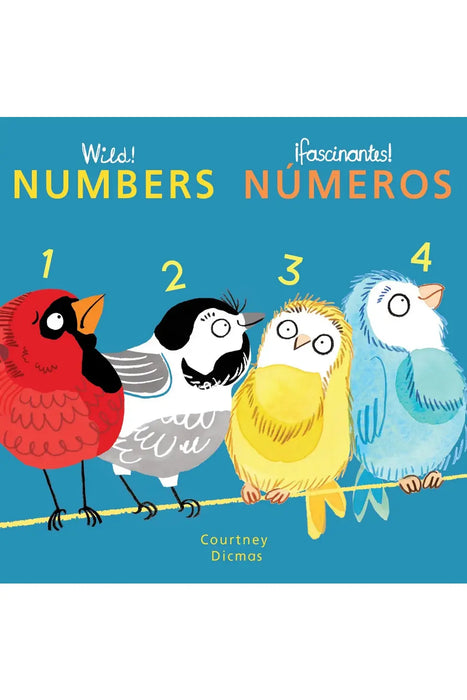 Numbers/Numeros Book