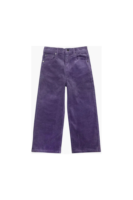 Liana Corduroy Jeans - Purple