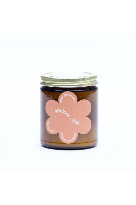 Apricot Fig 9 oz Soy Candle